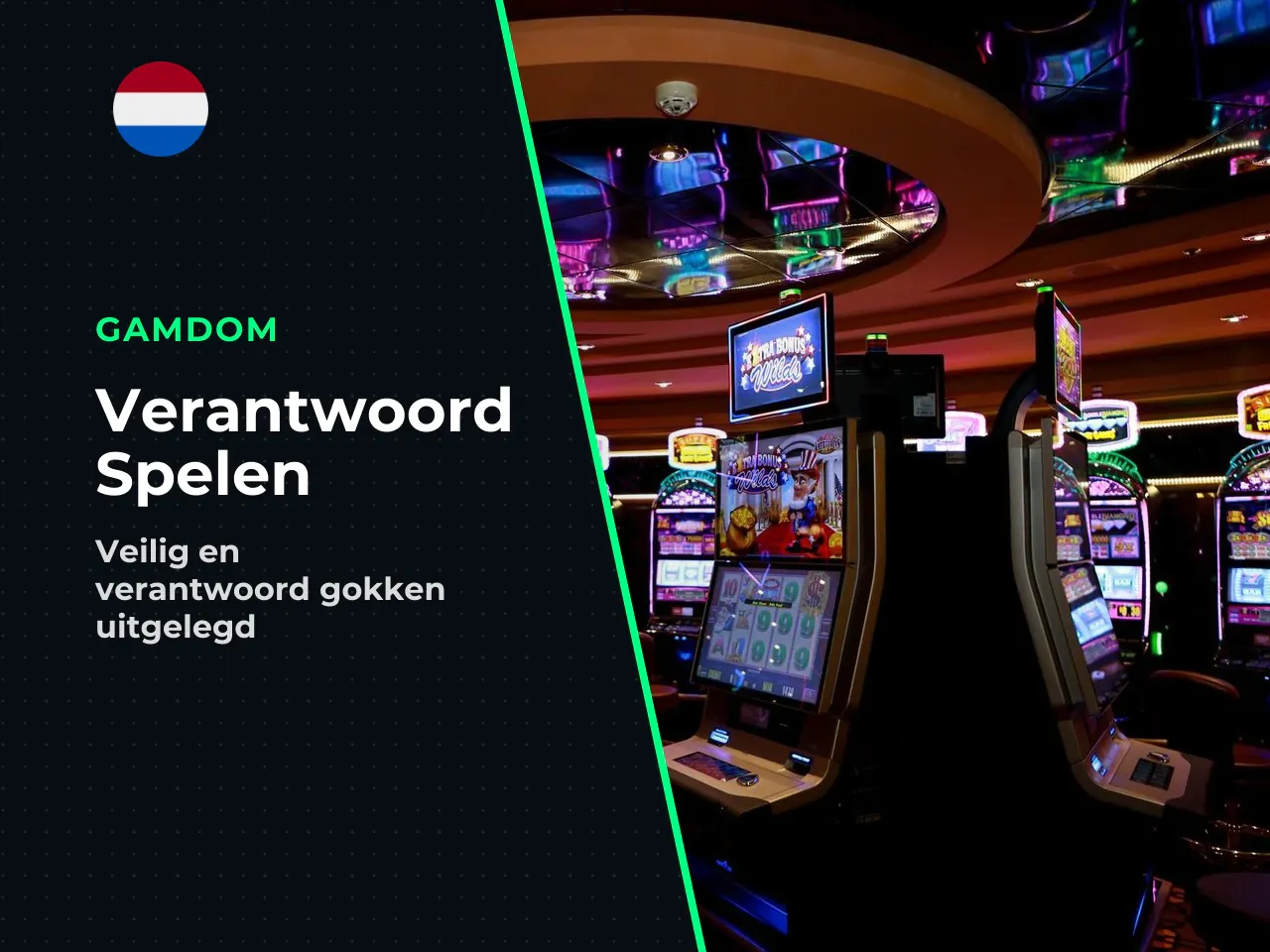 Over deze beoordeling en verantwoord spelen