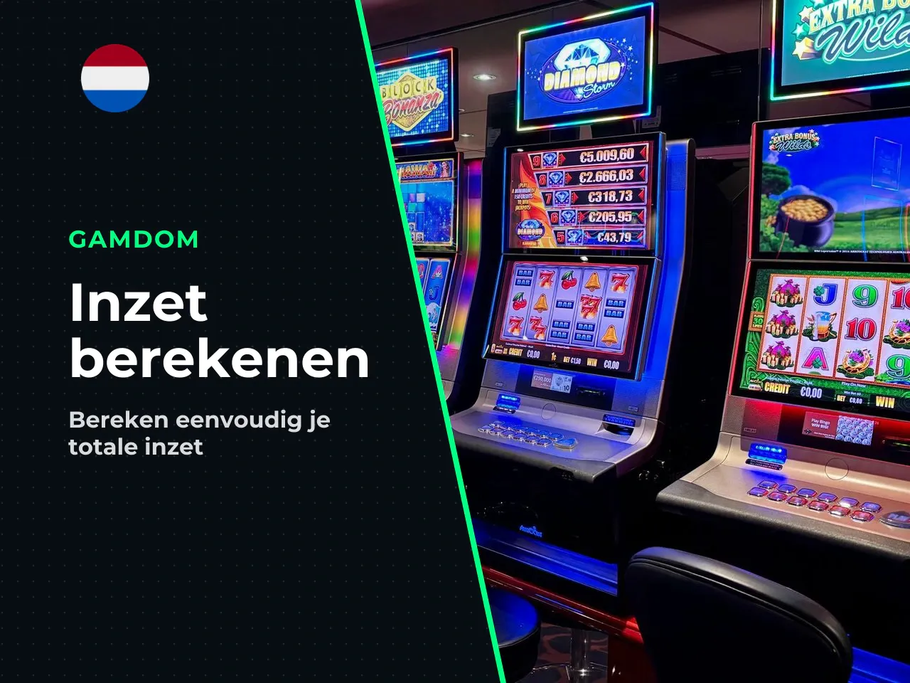 Hoe bereken je de totale inzet