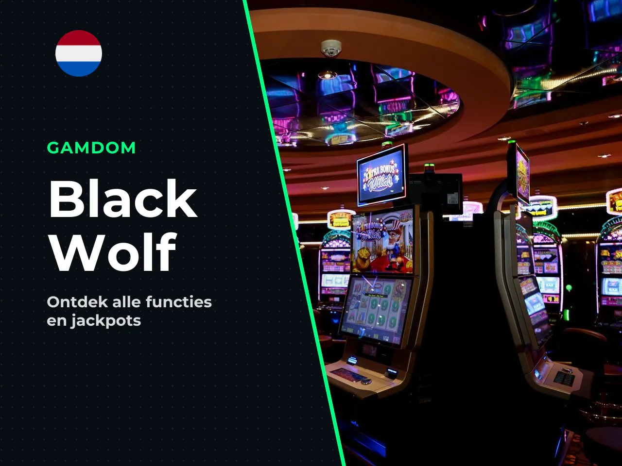 Waar vind je Black Wolf bij
