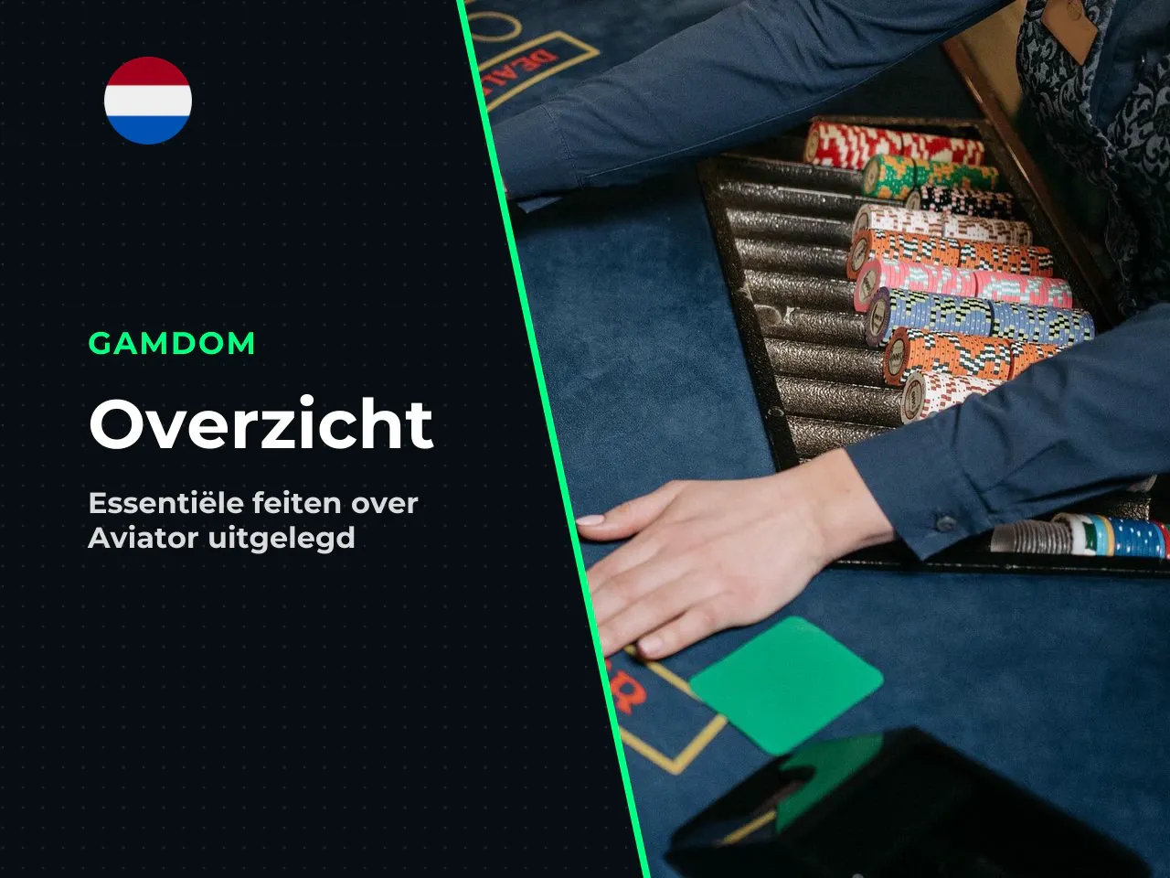 Kernpunten in het kort