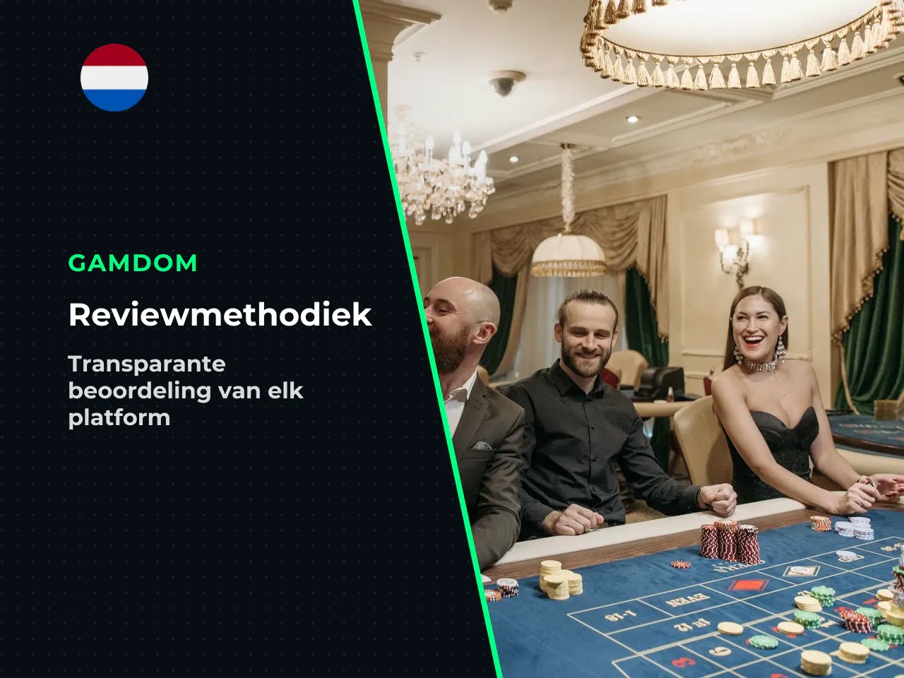 Zo is deze review opgebouwd onze