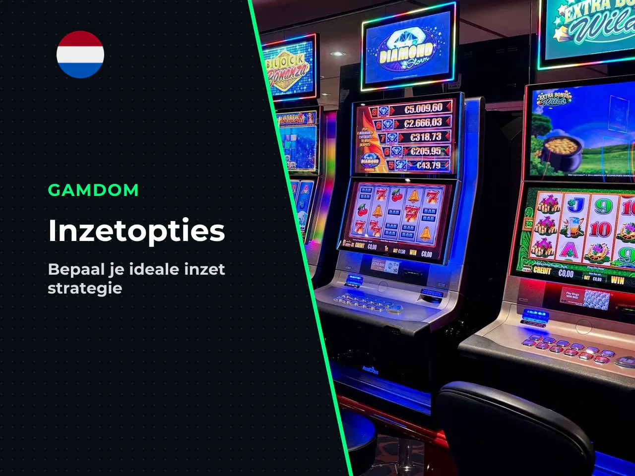 Inzet en mogelijke uitbetalingen. Inzetten worden