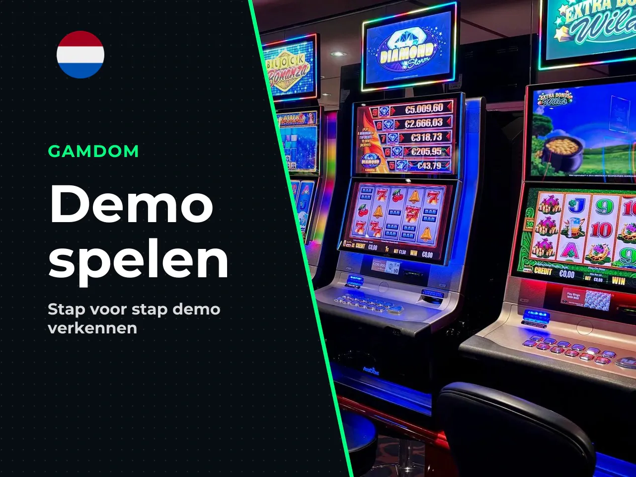 Zo start je de demo in