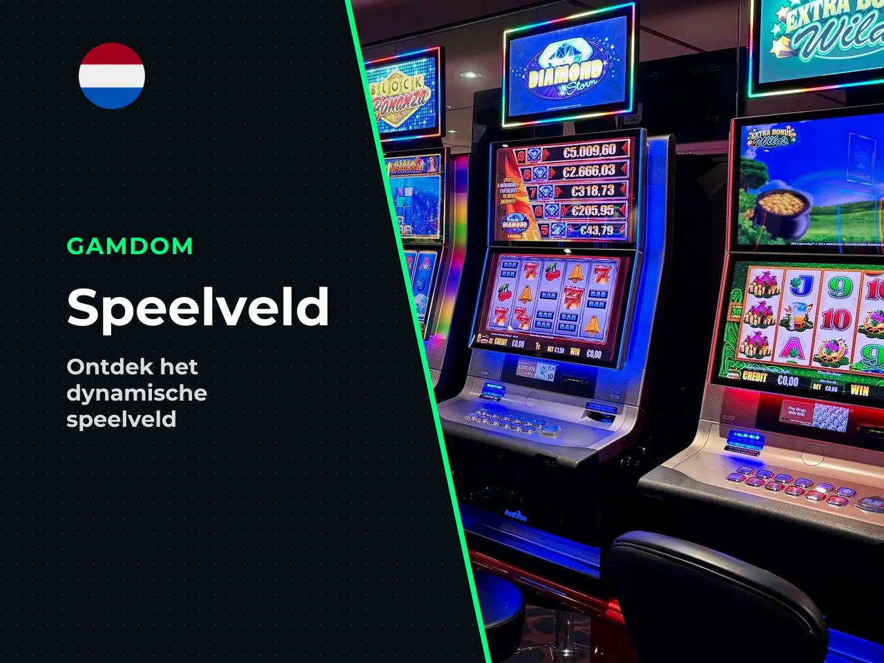 Samengevat toont het speelveld van Pirots